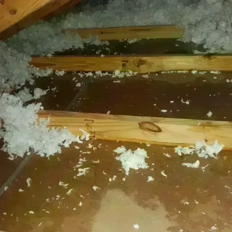 Attic Water Damage in Washington County, FL